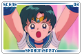 pssm_shabonspray03